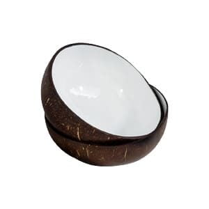 lacquered coconut bowls design 1