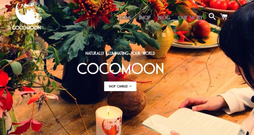 cocomoon