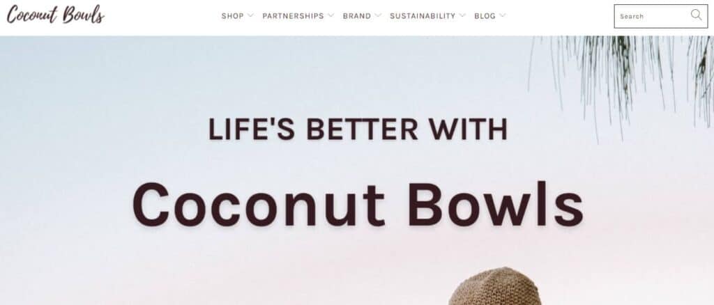 coconut bowls